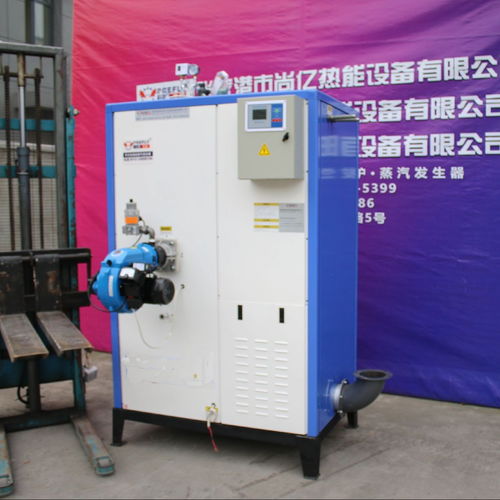 立浦熱能LWS0.2 0.7 Y Q燃?xì)庹羝l(fā)生器 高效消毒與環(huán)保機電設(shè)備的卓越選擇